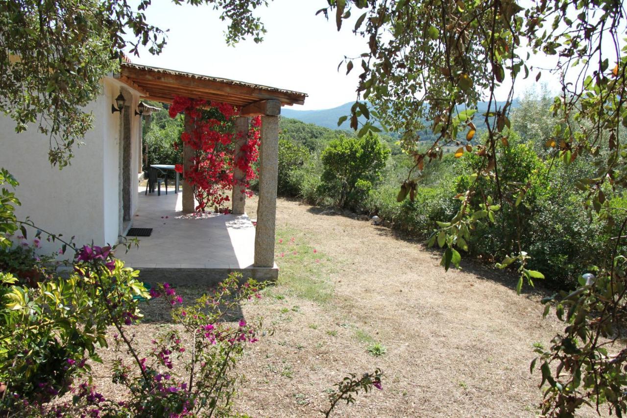 Villa La Puntaccina Aglientu Exterior foto